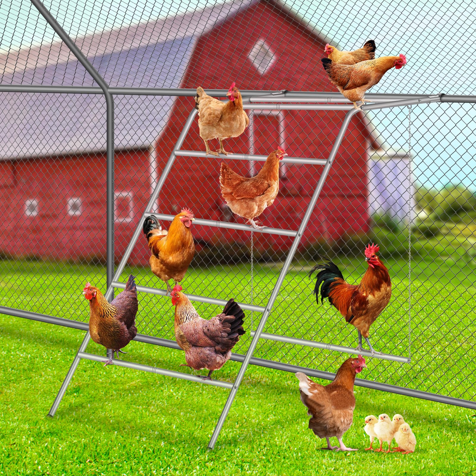 Fogein chicken coop perches with swing provide versatile roosts and playful space for backyard poultry.