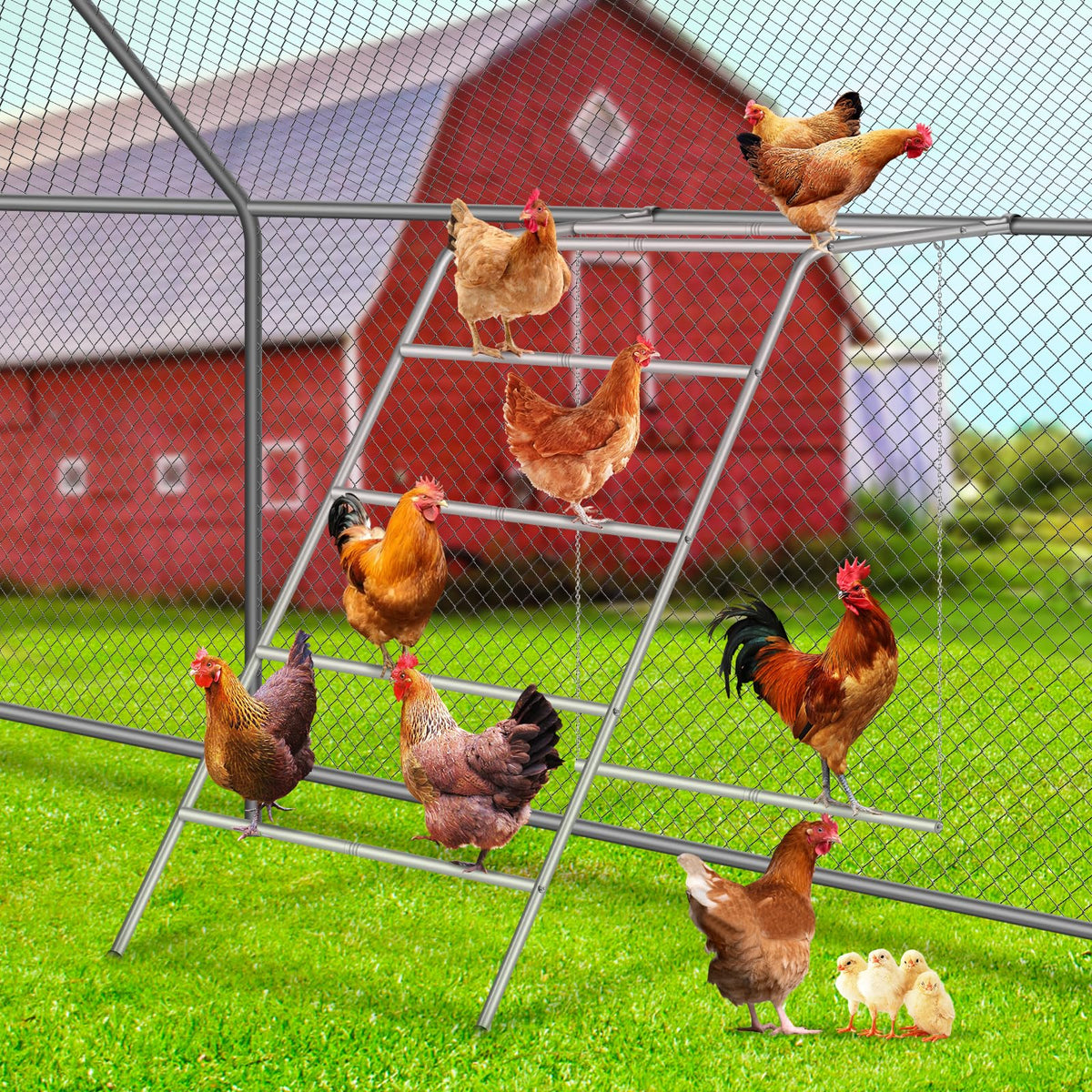 Fogein chicken coop perches with swing provide versatile roosts and playful space for backyard poultry.
