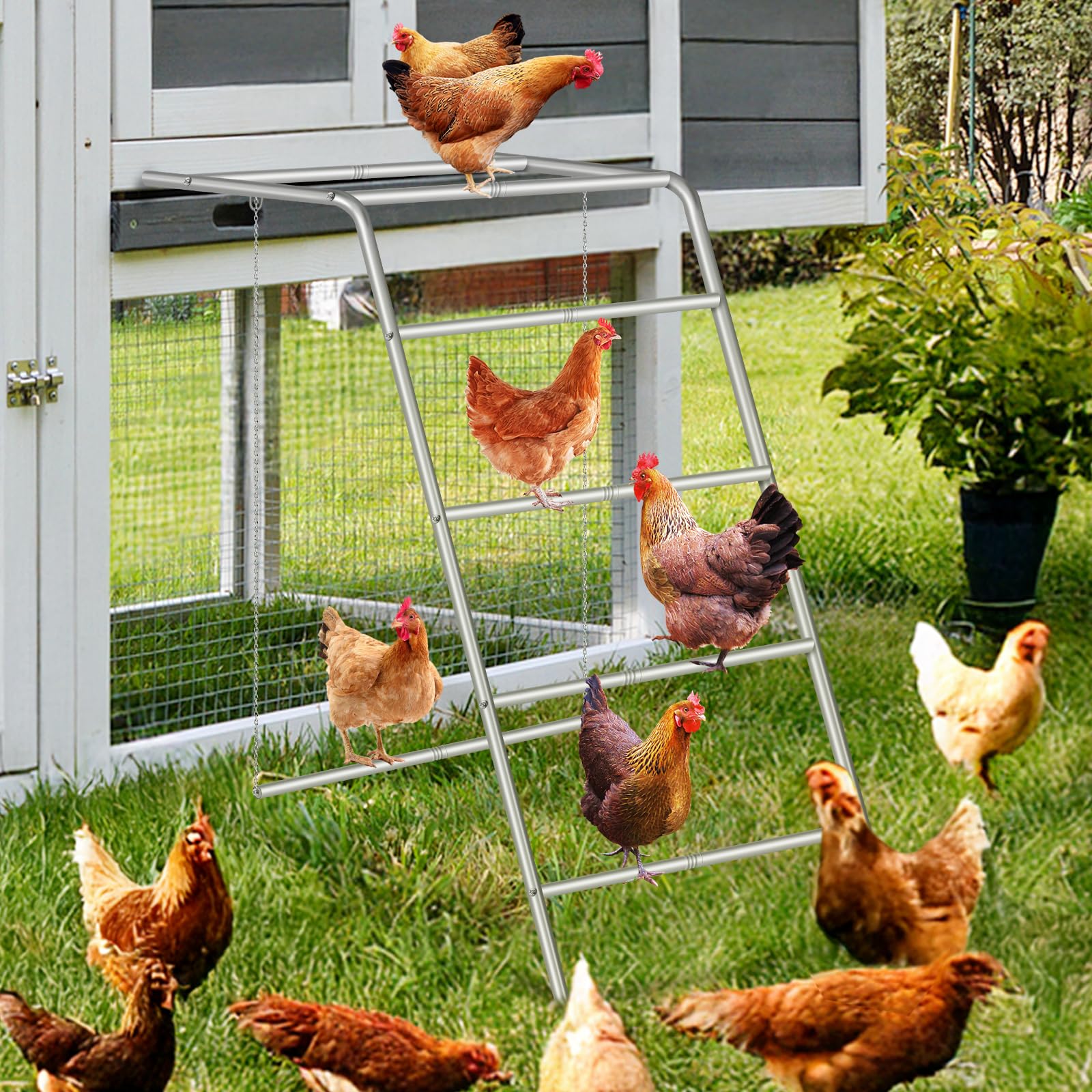 Fogein chicken swing adds gentle movement encouraging exercise and curiosity.