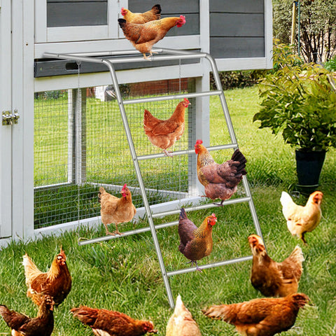 Fogein chicken swing adds gentle movement encouraging exercise and curiosity.
