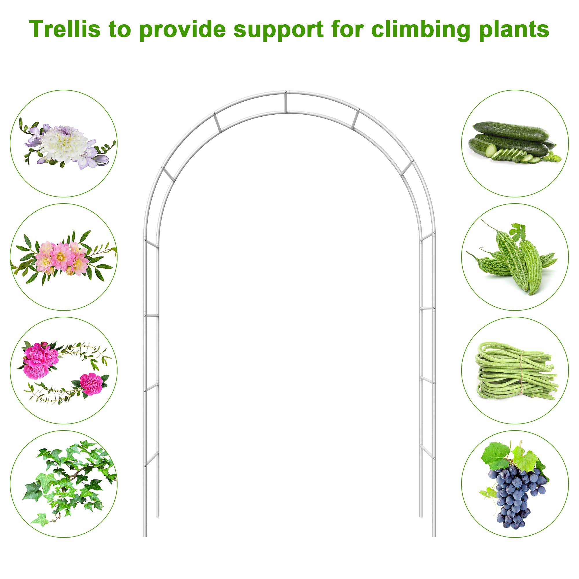 Fogein metal garden arch stand ground-insert base provides stability.
