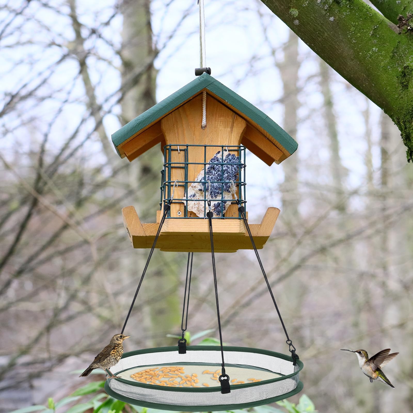 FoldTier 20x20-inch seed catcher size provides ample space for several birds.