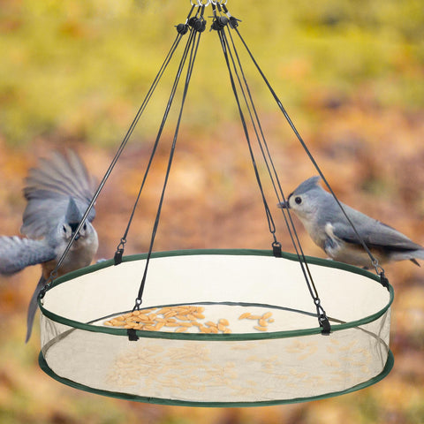 FoldTier 24x24 inch seed catcher is ideal for multiple yard species.