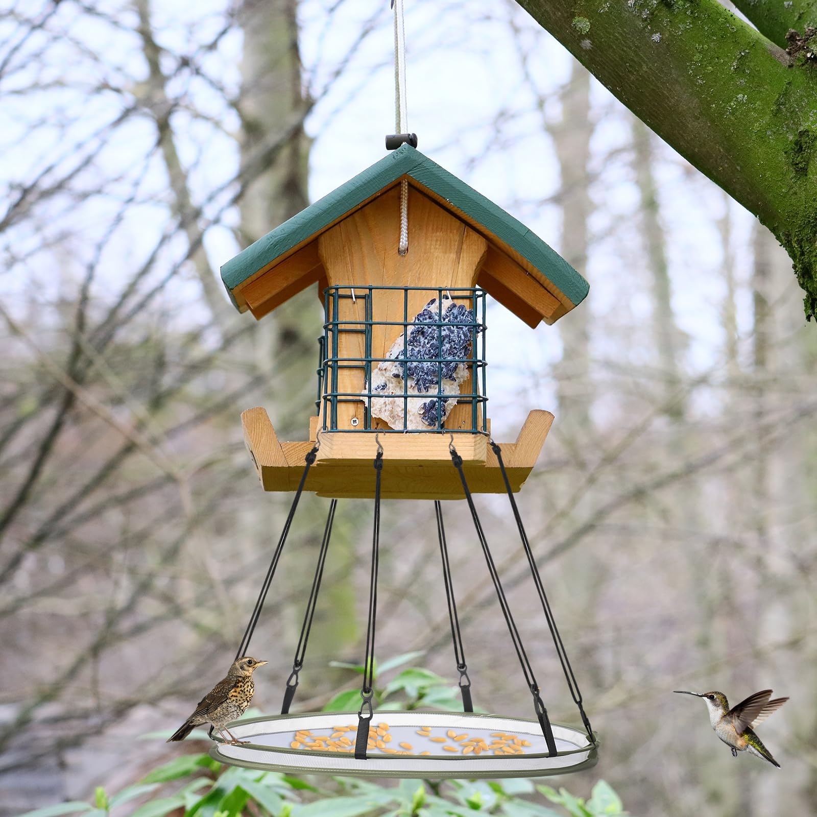 FoldTier outdoor bird feeding accessory enhances garden bird visits
