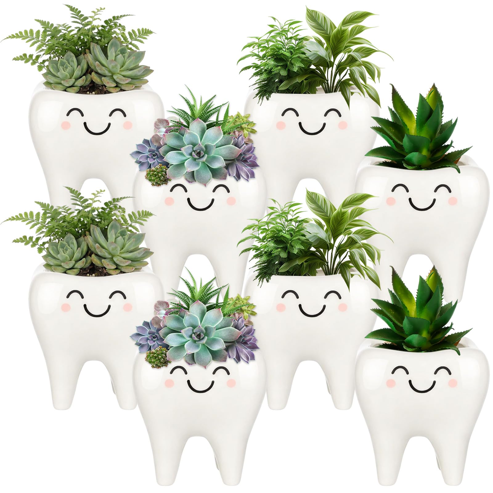 FoldTier tooth shaped planter on a desk, ideal dental office decor