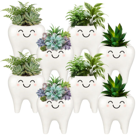 FoldTier tooth shaped planter on a desk, ideal dental office decor