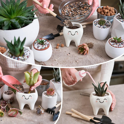 FoldTier tooth-shaped planters enhance reception area and shelves.