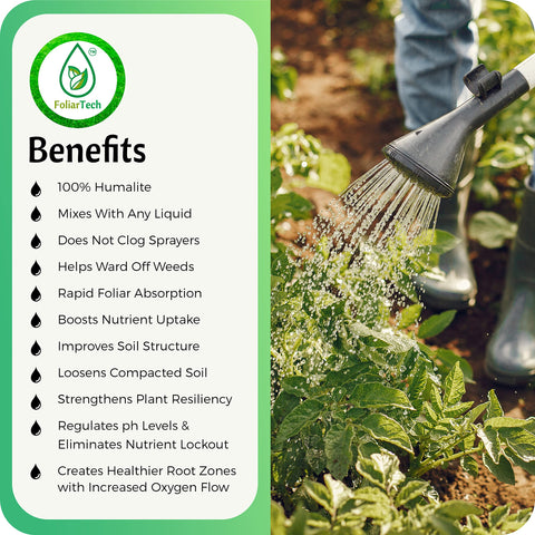 Lush lawn application using FoliarTech humic acid to promote deeper root zones.