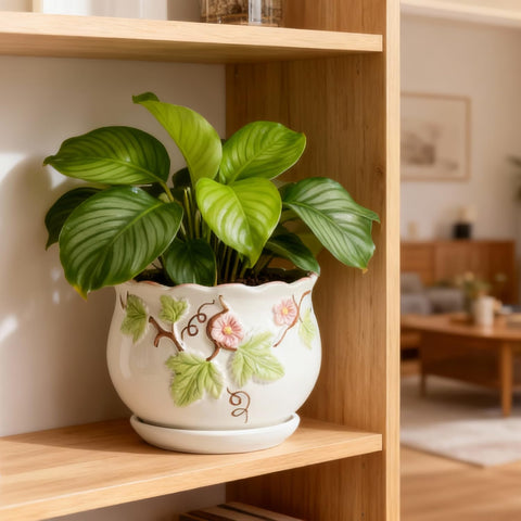 FOLKLORE13 vintage round pot 6.7 inch suits larger greenery with stable saucers.