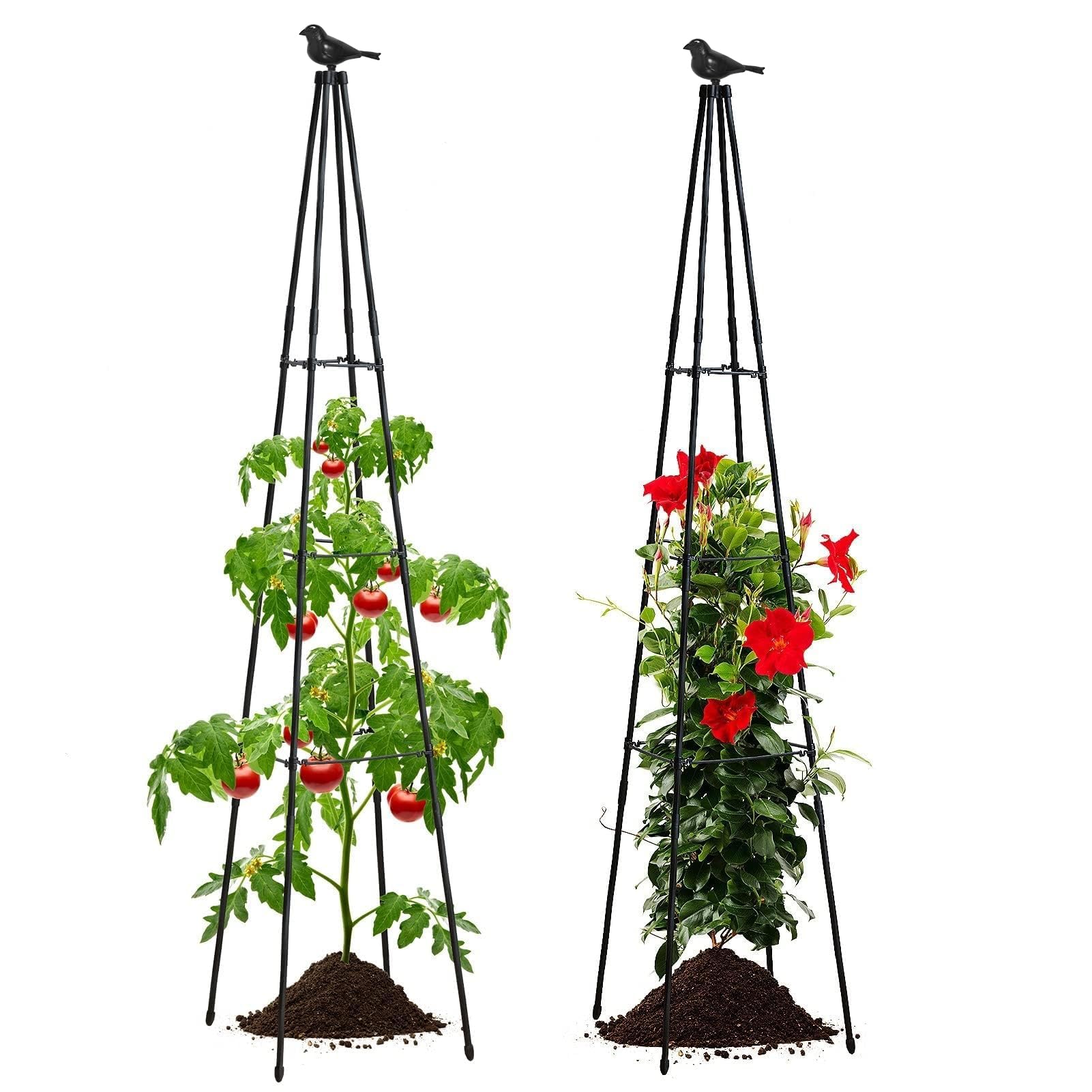 FolLOOK cross-arm design offers adjustable stability for tomatoes, beans, and flowers.