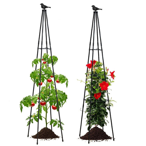 FolLOOK cross-arm design offers adjustable stability for tomatoes, beans, and flowers.