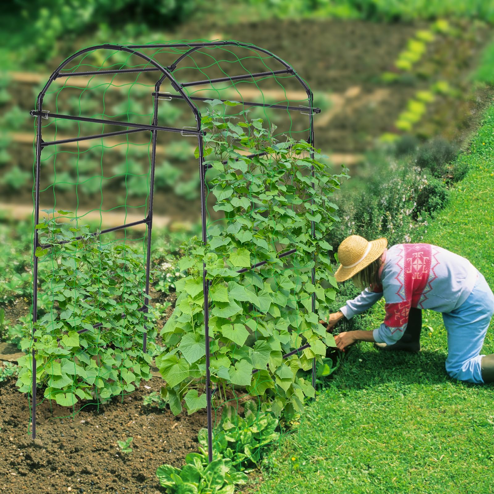 FOLLOOK trellis uses weather-resistant steel and clips for lasting support
