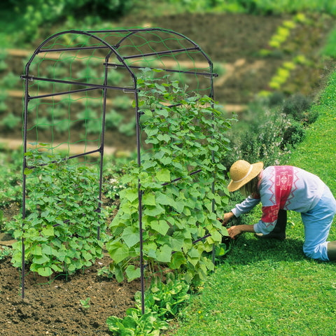 FOLLOOK trellis uses weather-resistant steel and clips for lasting support