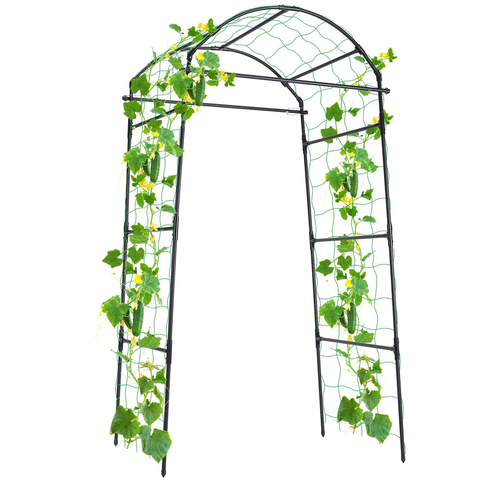 FOLLOOK cucumber trellis in steel arch supports climbing vines for neat vertical growth