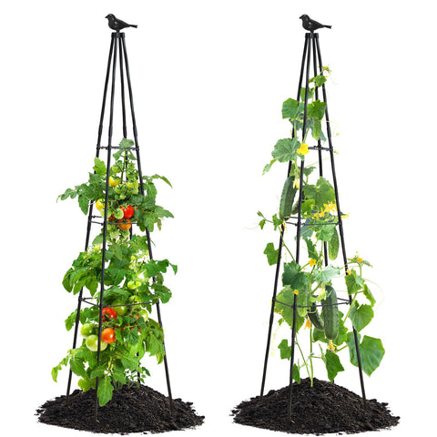 FolLOOK cucumber trellis 67-inch obelisk provides sturdy vertical support for climbing plants.