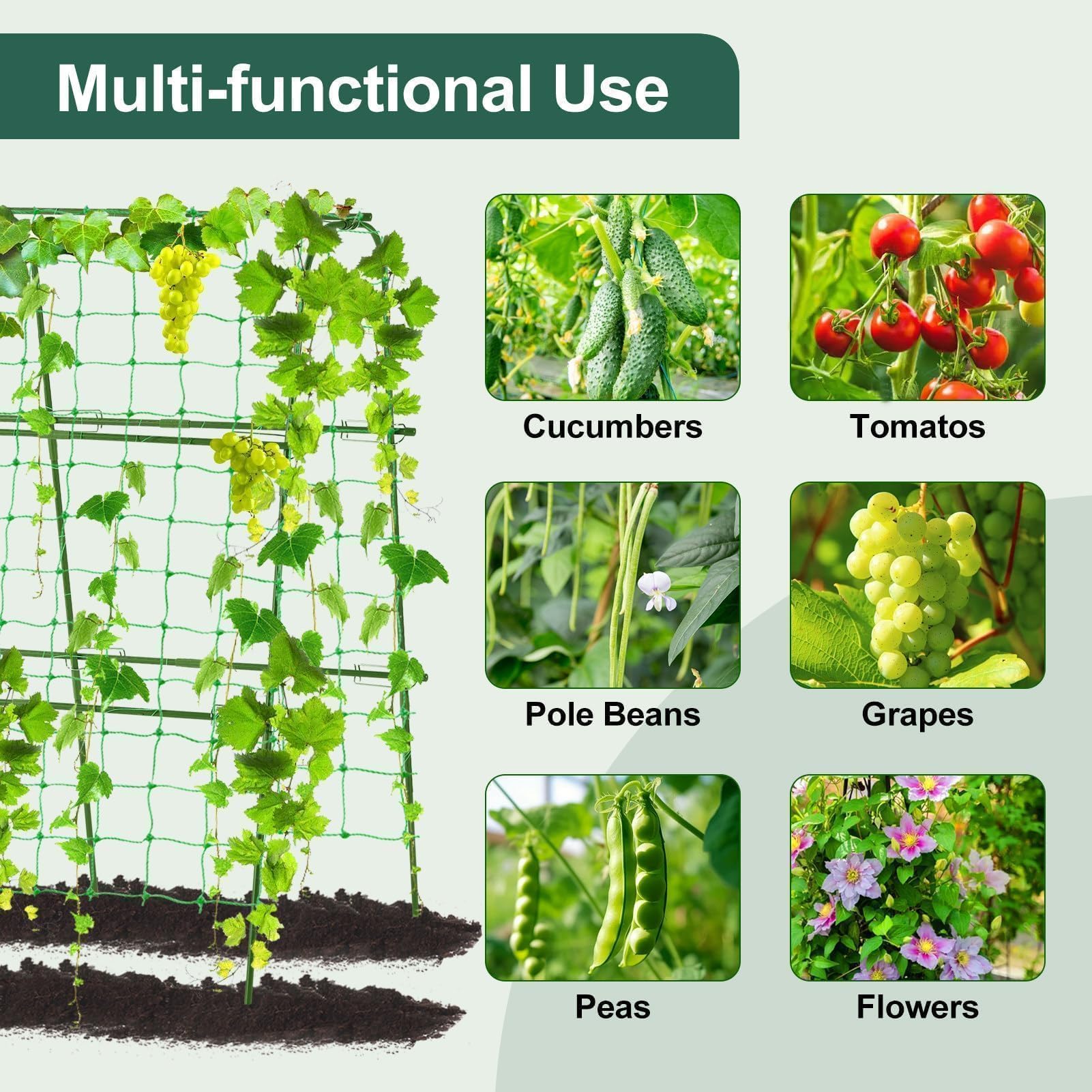 FOLLOOK durable plastic-coated steel core trellis stands sturdy in sun.