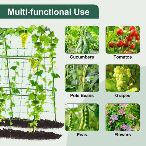FOLLOOK durable plastic-coated steel core trellis stands sturdy in sun.
