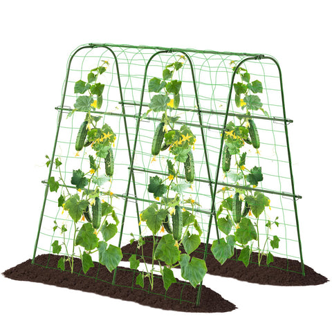 FOLLOOK garden cucumber trellis with 48x48 arch supports climbing plants.
