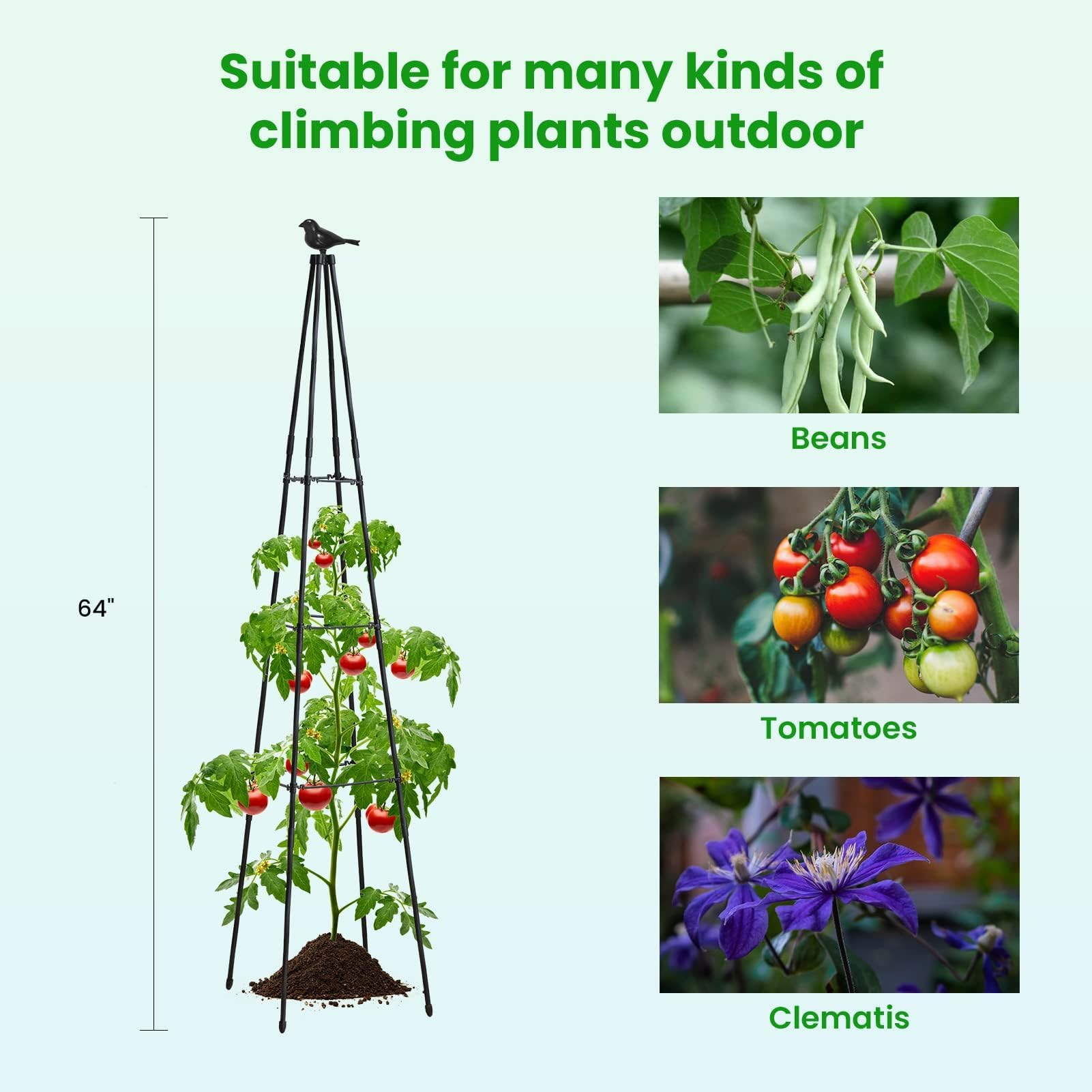 Ideal for raised beds and potted plants, indoors or outdoors.