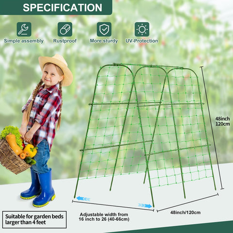 FOLLOOK netted cucumber tunnel enables easy harvest and inspection.