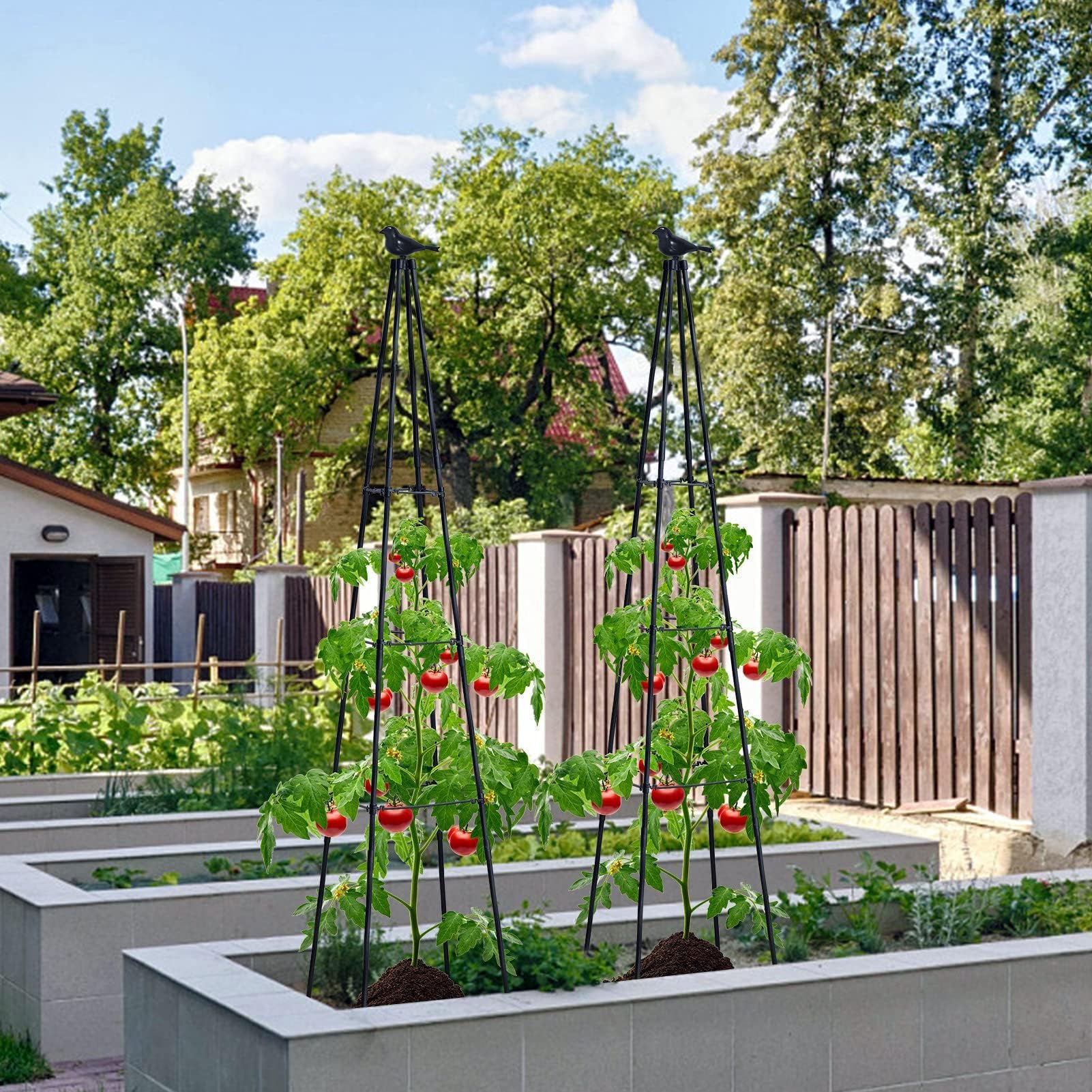 FolLOOK obelisk trellis with topper adds decorative structure for vines in gardens.