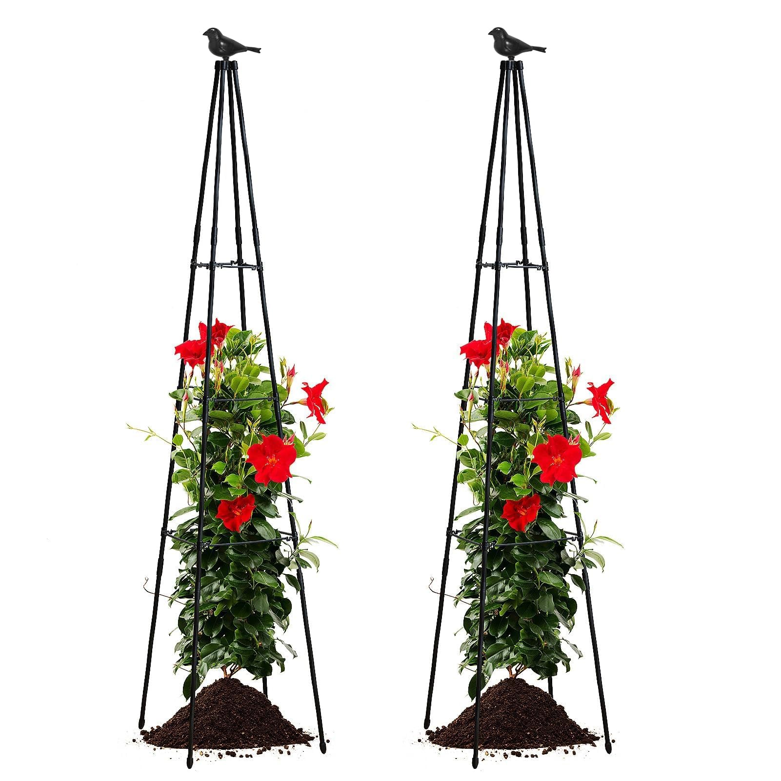 Black color blends with most gardens while showcasing climbing plants.