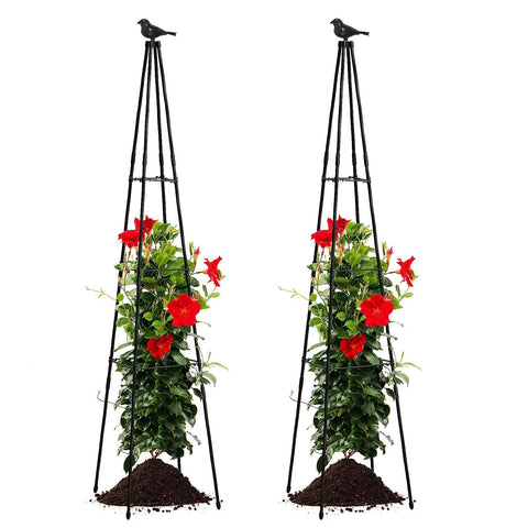 Black color blends with most gardens while showcasing climbing plants.