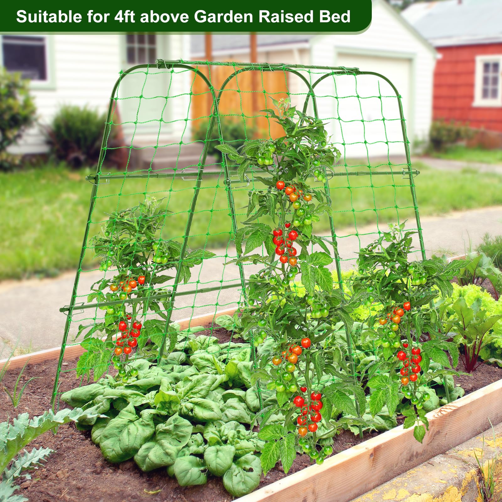 FOLLOOK tool-free installation speeds garden setup.