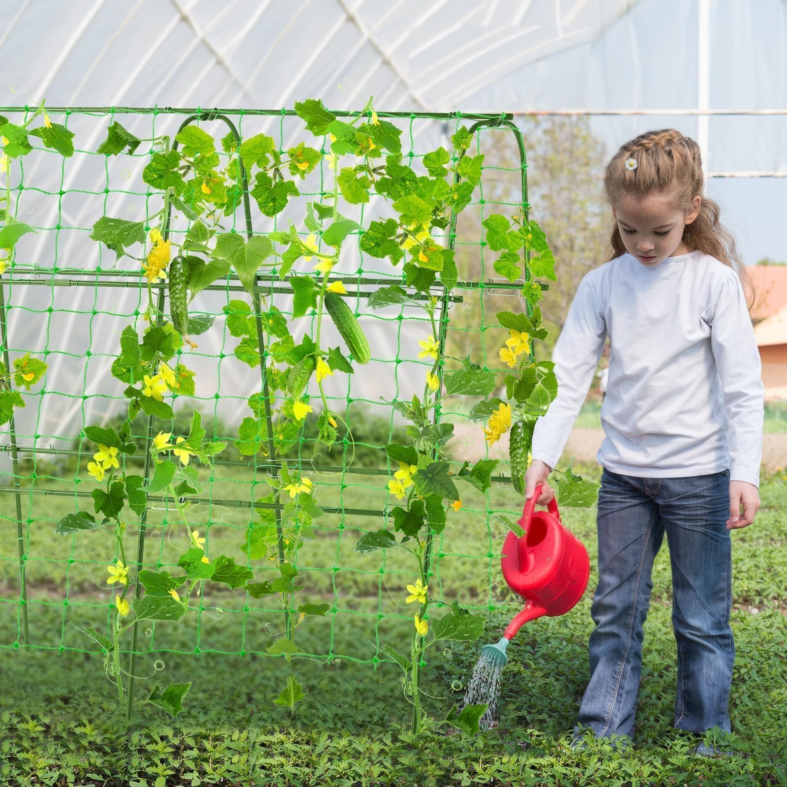 FOLLOOK adjustable-width trellis demonstrates width between 16 and 26 inches.