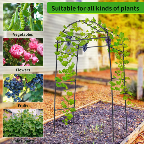 FOLLOOK garden arch enables vertical growth for better sun exposure