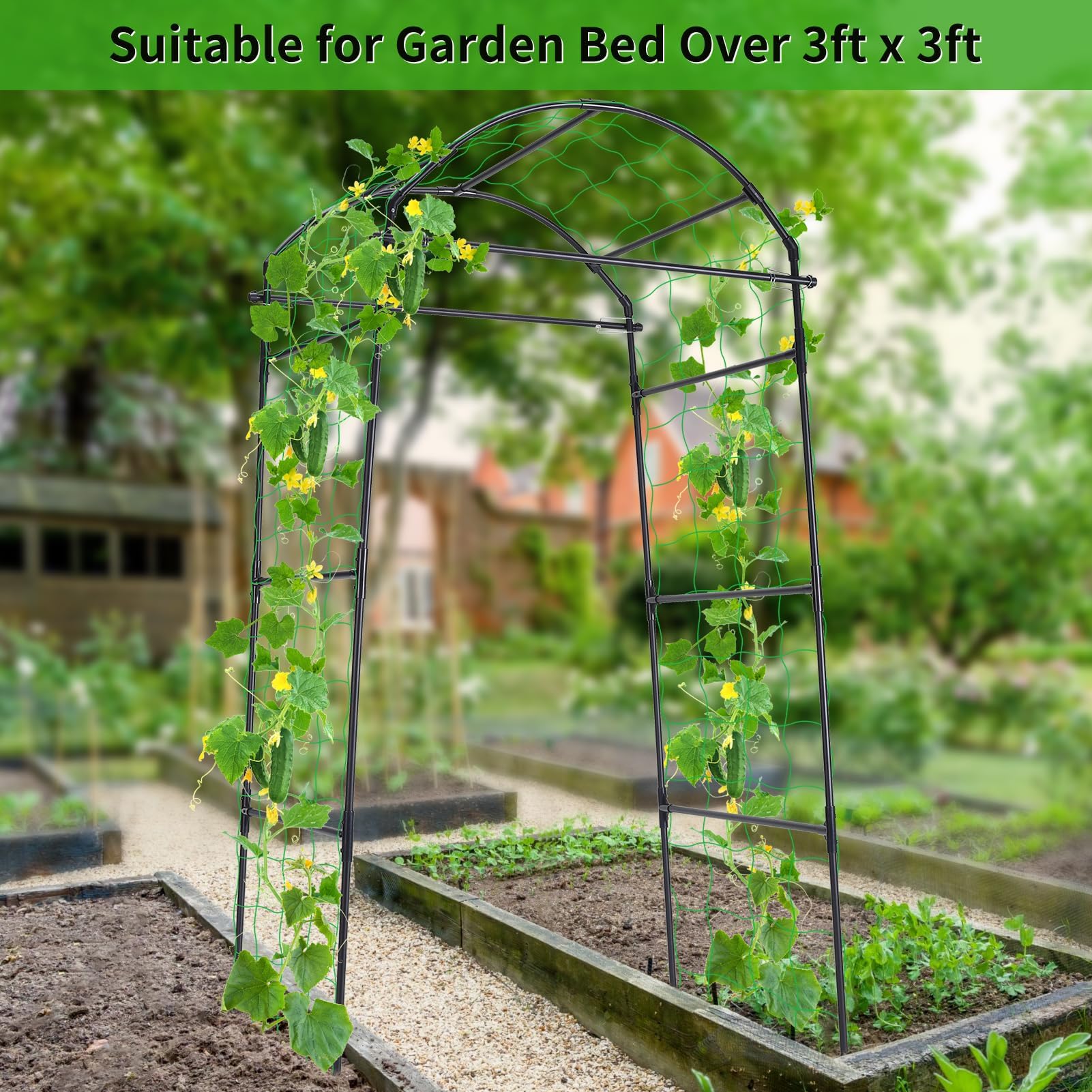 FOLLOOK black garden arch with nylon netting promotes air circulation