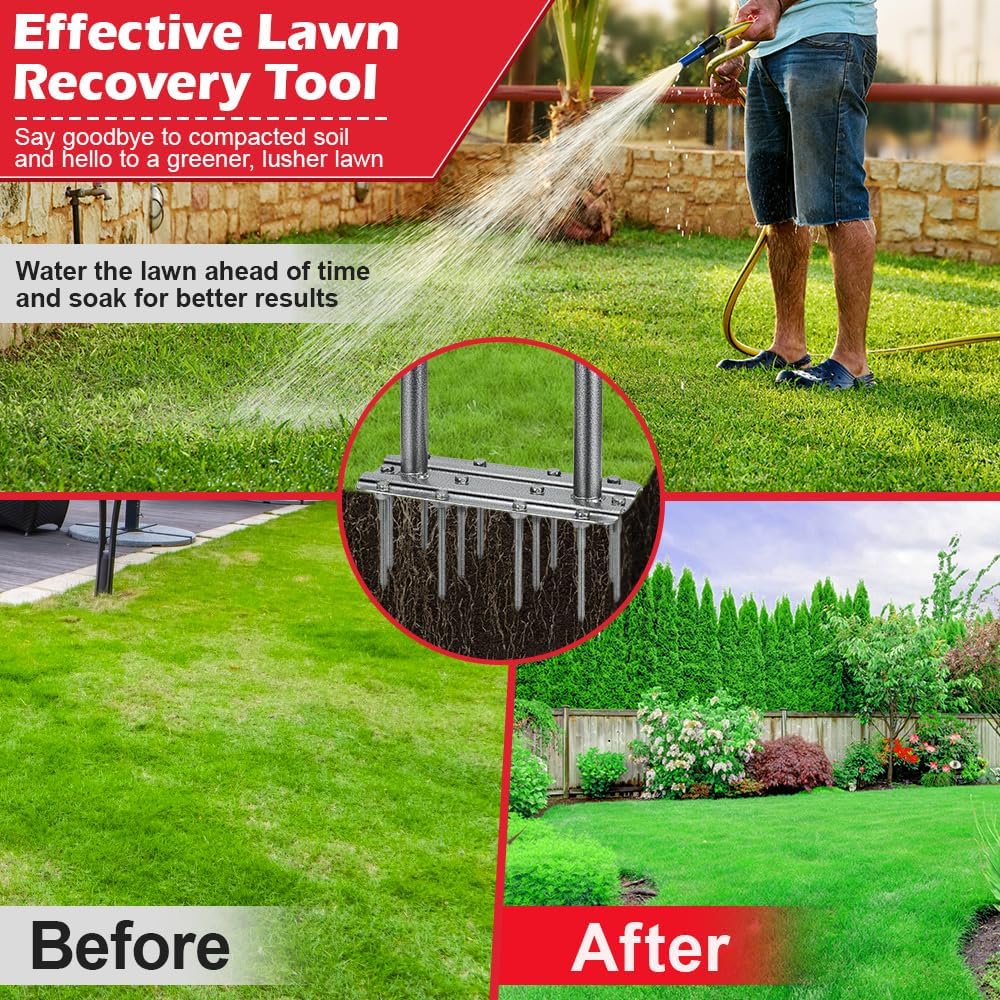Fologtoo results: a lush green lawn with improved soil structure.
