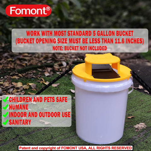 Fomont indoor-outdoor use suitability in kitchens and barns