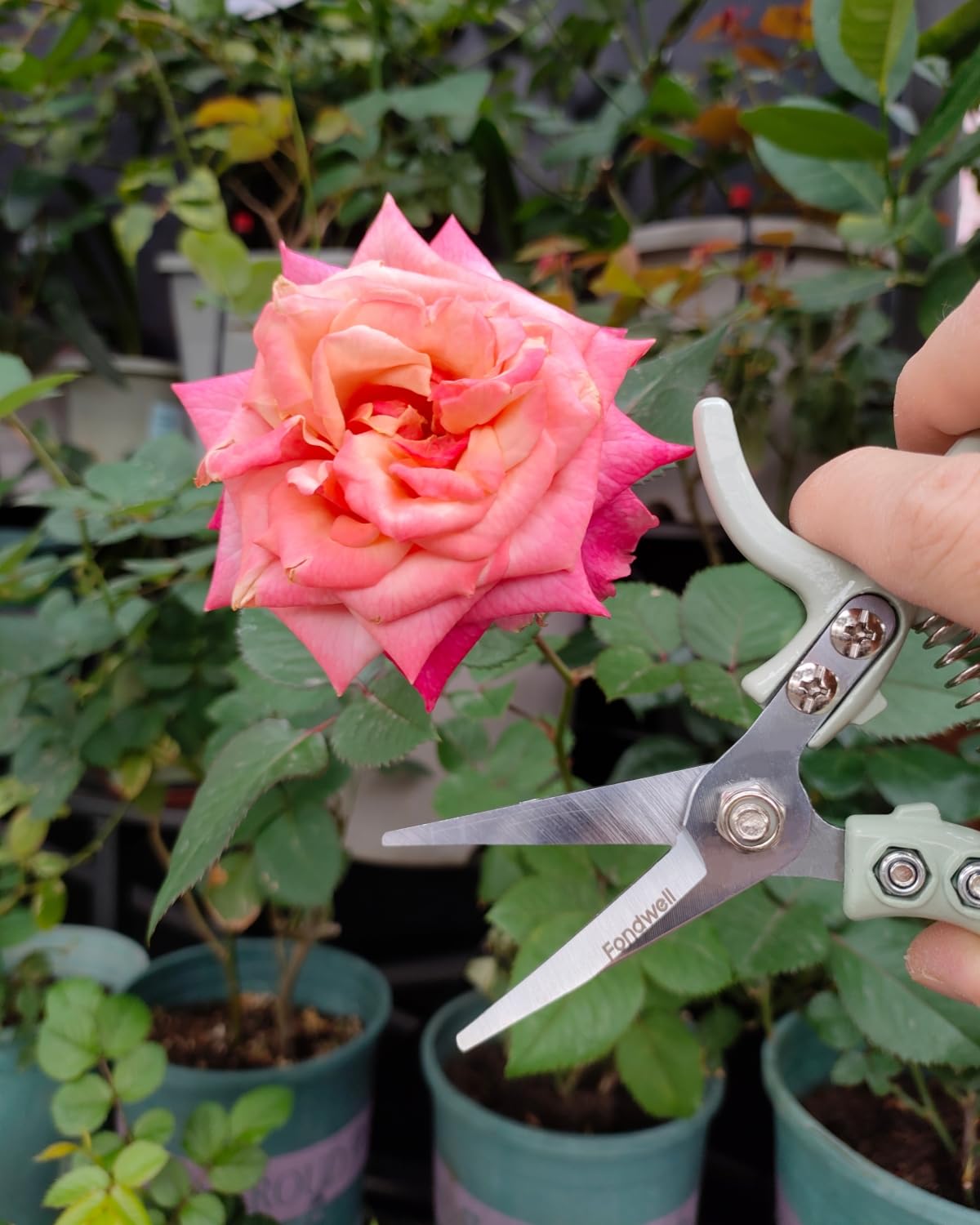 Fondwell corrosion-resistant blades and durable spring ensure long-lasting performance.