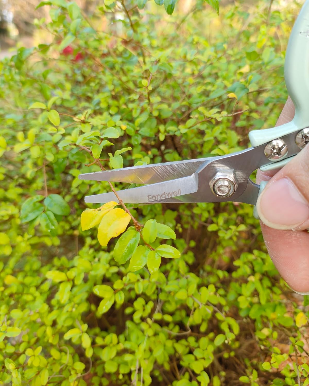 Fondwell 6-inch shears ideal for herbs, buds, and bonsai pruning.