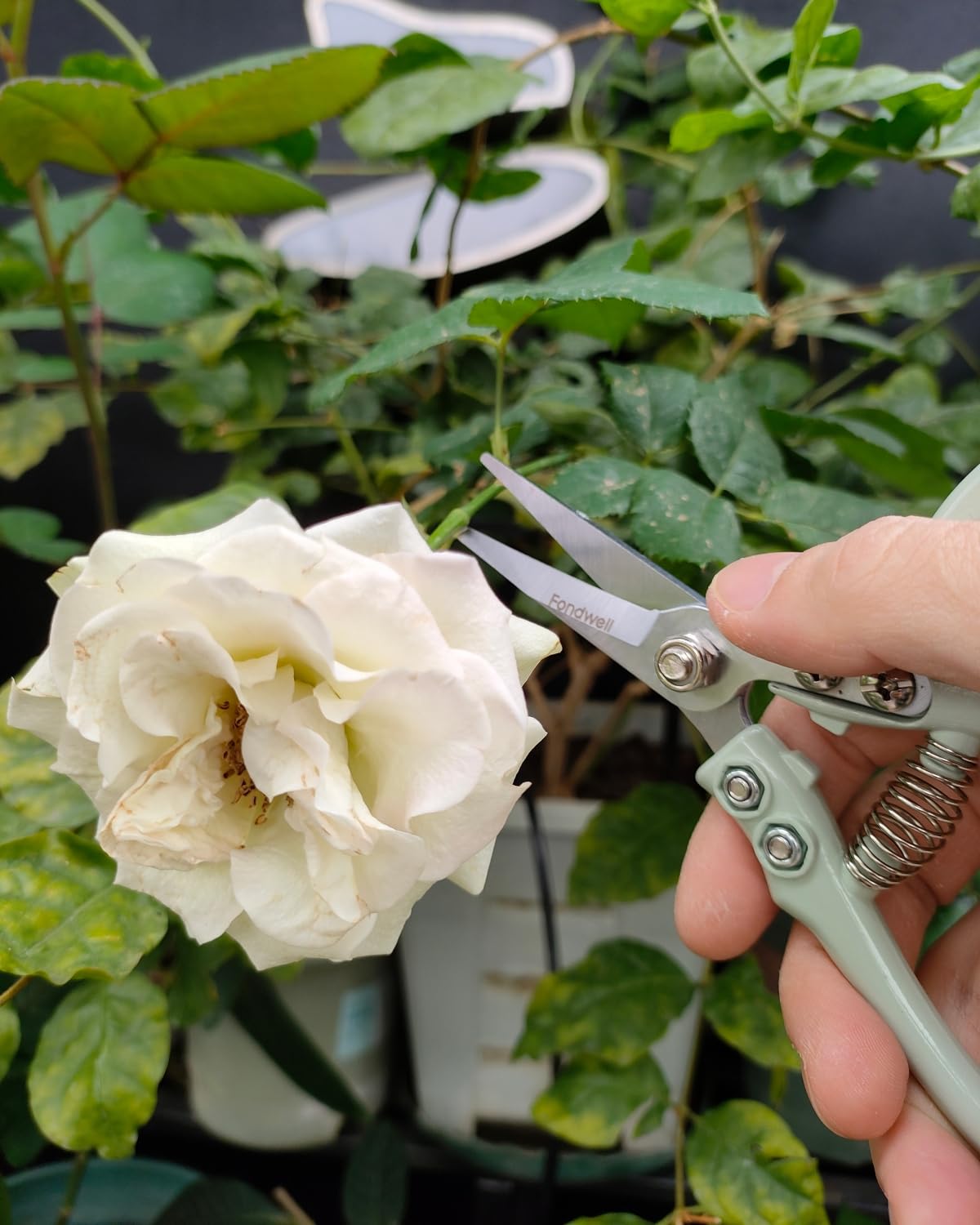 Fondwell pruning shears with a one-push safety lock for secure storage.