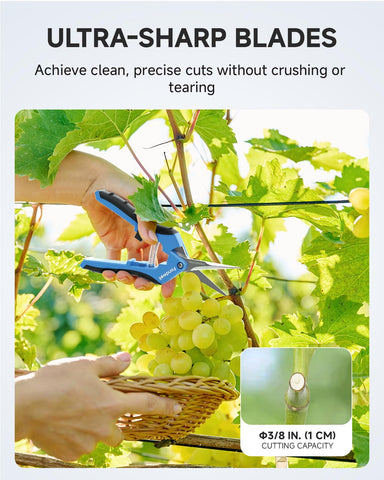 Fondwell pruning shears 6.5-inch 2-pack image shows convenient twin-pack for multiple plants.