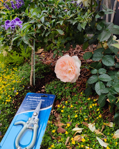 Fondwell pruning shears offer smooth spring action for controlled pruning tasks.