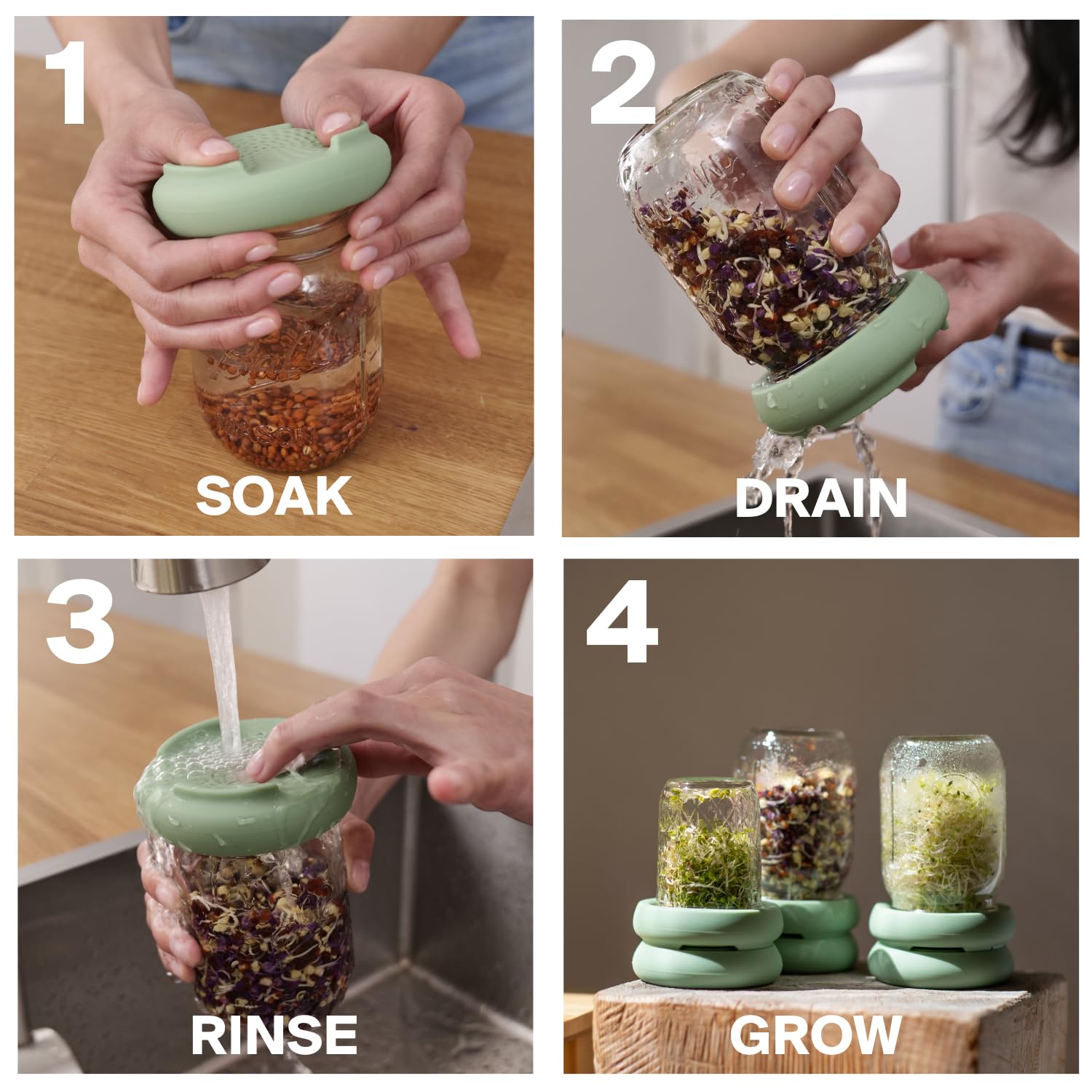 Food Huggers compact design on a window-sill demonstrates space-efficient urban gardening.