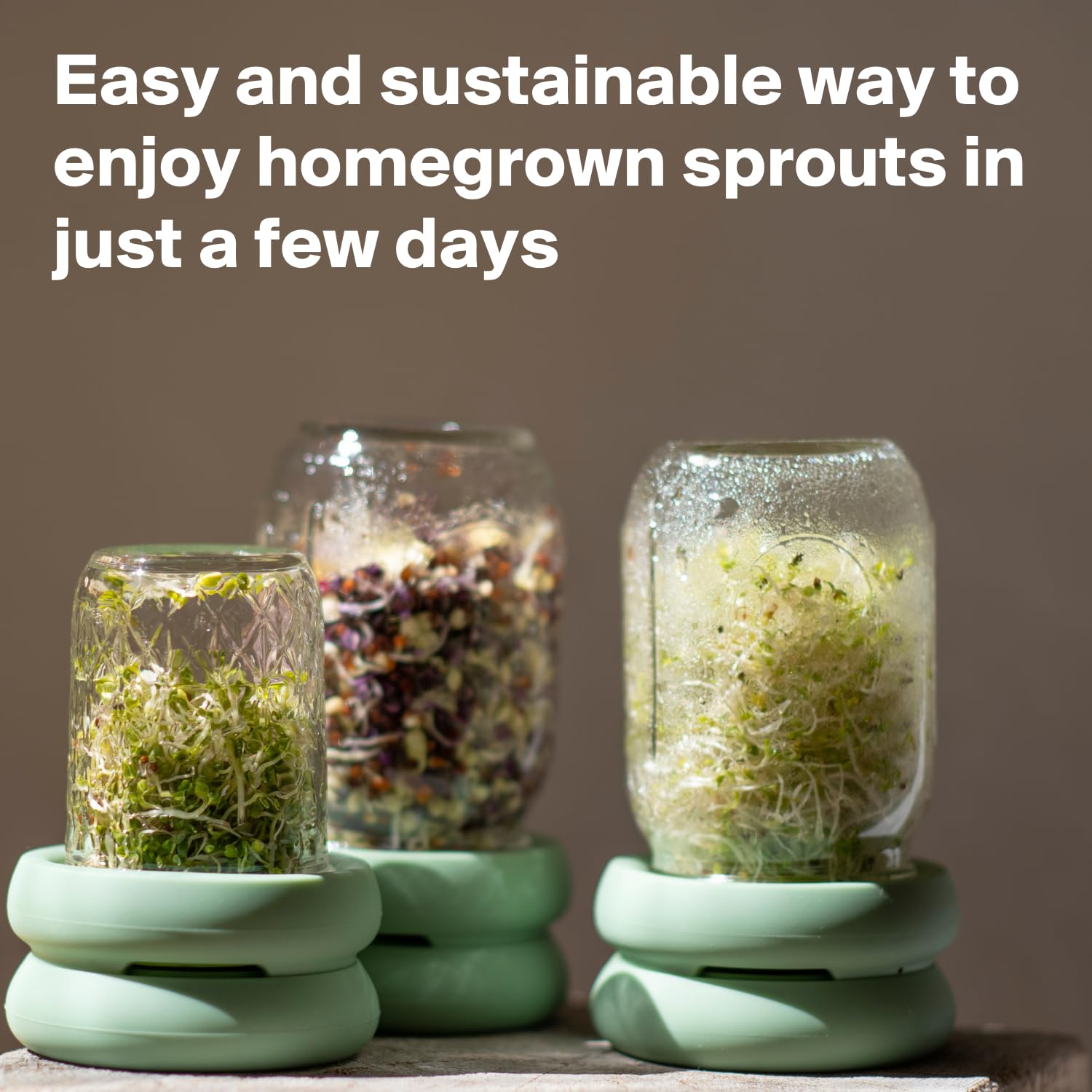 Food Huggers easy sprouting kit highlights simple setup and cleanup.