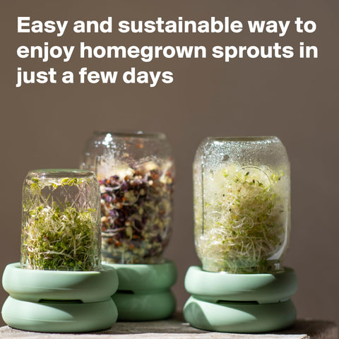 Food Huggers easy sprouting kit highlights simple setup and cleanup.