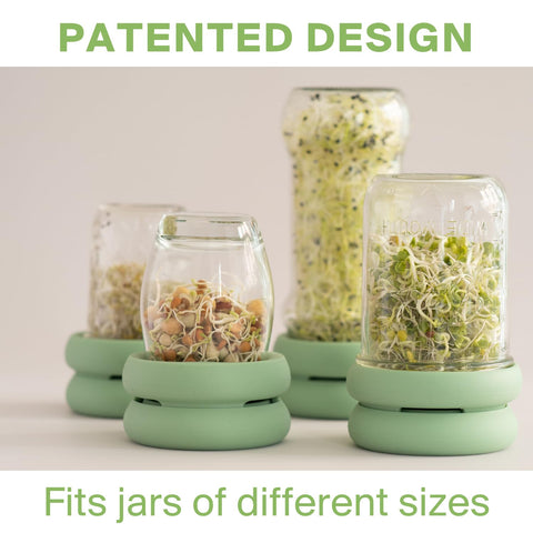 Food Huggers grow greens at home, turning jars into tiny indoor gardens.