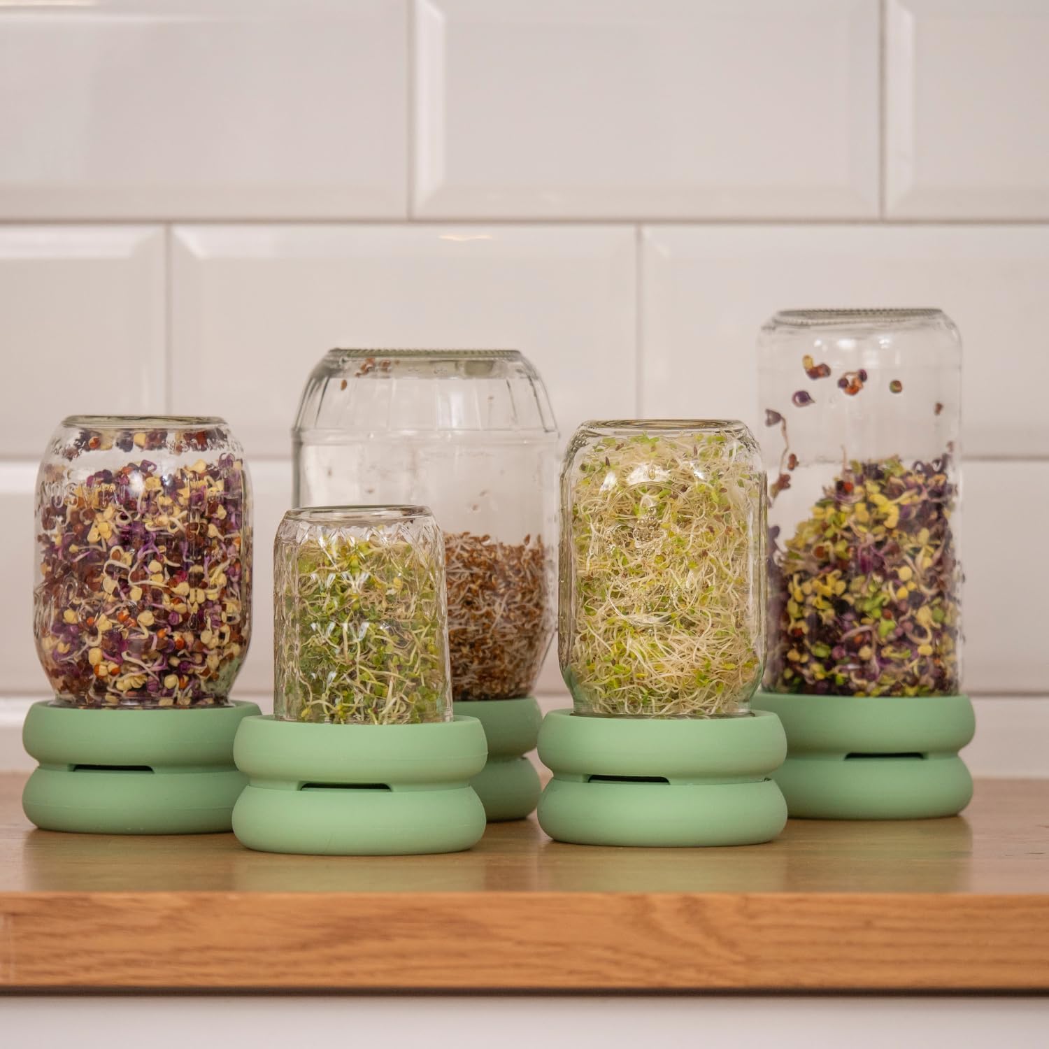 Food Huggers kitchen-counter sprouts showcase fresh greens in minutes.
