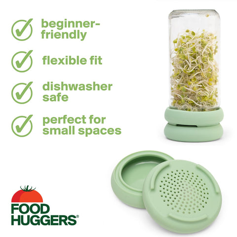Food Huggers urban garden setup on a kitchen counter with sprouts.