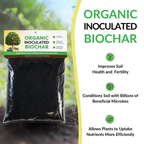 Close-up of FOOP biochar reveals microbe-rich surfaces for soil health.