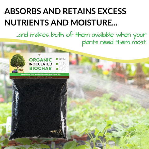 Illustration emphasizes millions of soil microbes in FOOP biochar.