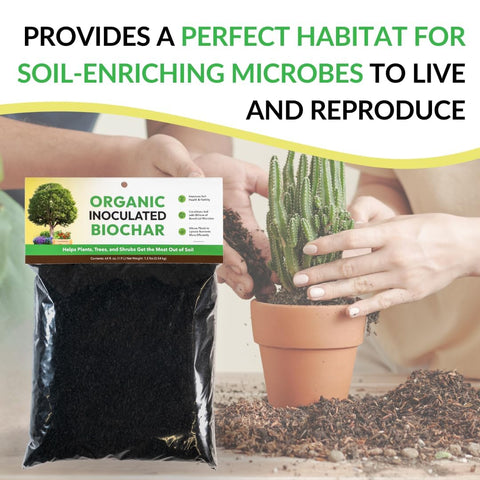 Side-by-side comparison highlights improved soil structure with FOOP biochar.