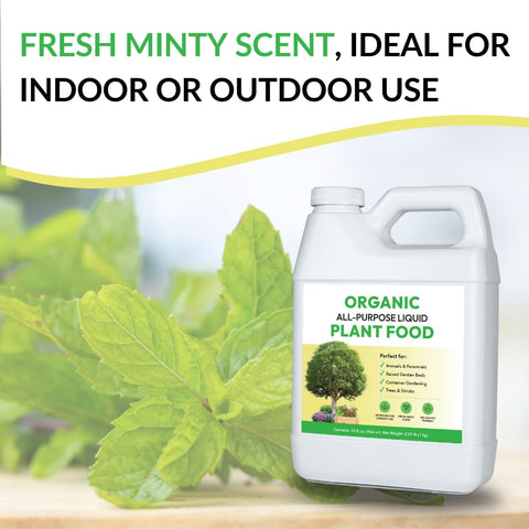 FOOP Organic All-Purpose Liquid Plant Food supports lush vegetables and herbs.