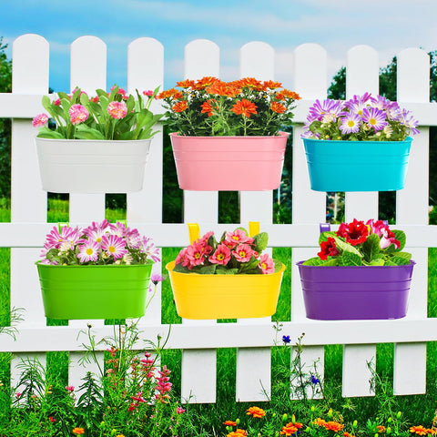Foraineam purple hanging pots offer vibrant decor with good soil ventilation.