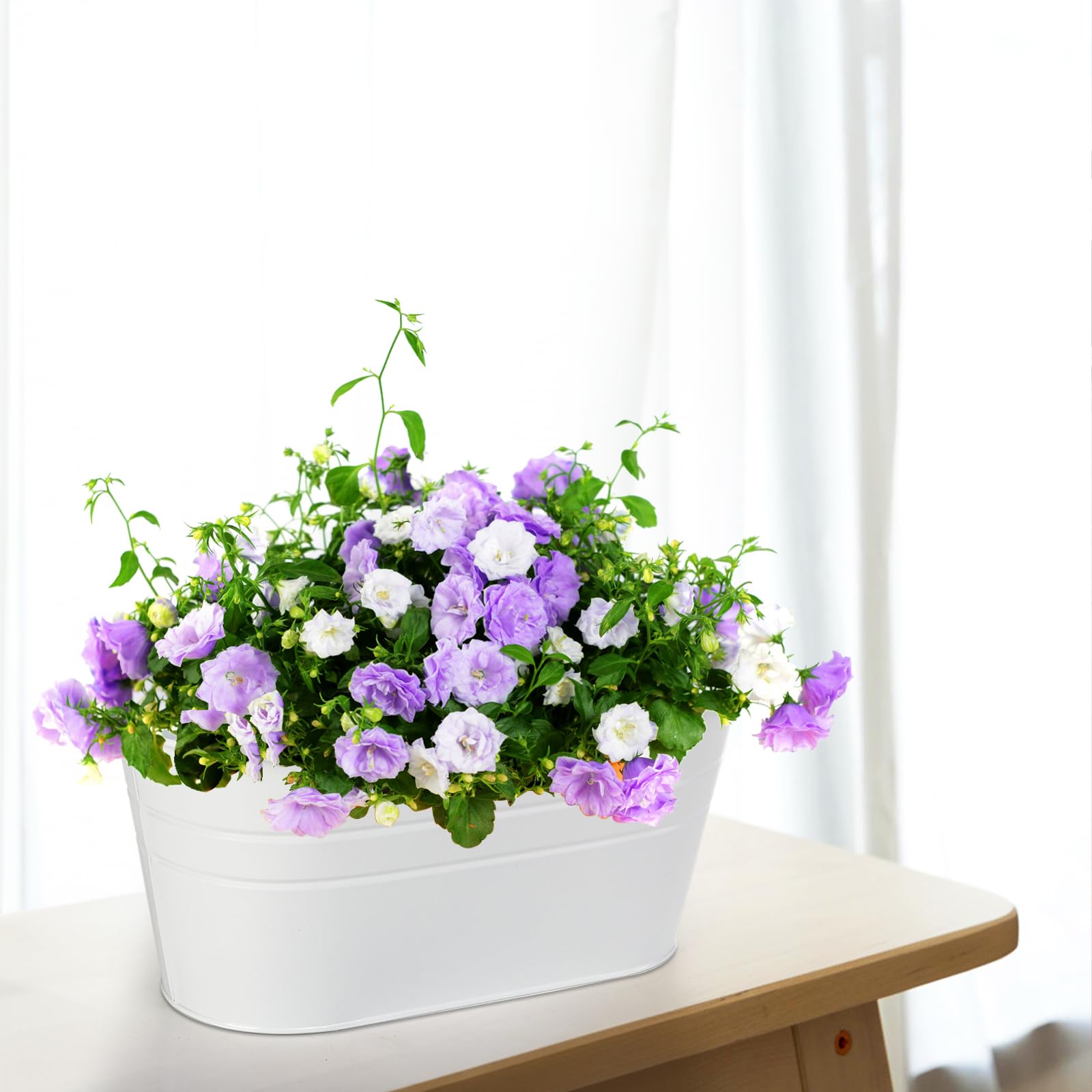 Foraineam detachable hook length of 5.3 inches supports flexible mounting.